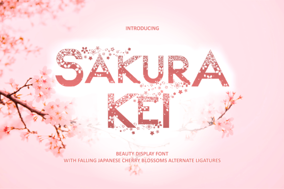 Sakura Kei: A Display Font That Makes Your Brand Feel Intentional